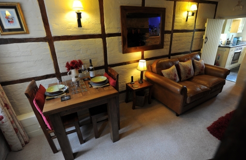 LITTLE%20OWL JimW Little%20Owl%2012