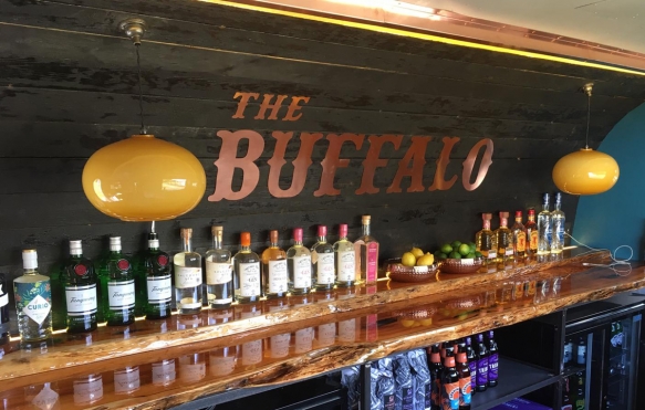 Buffalo28