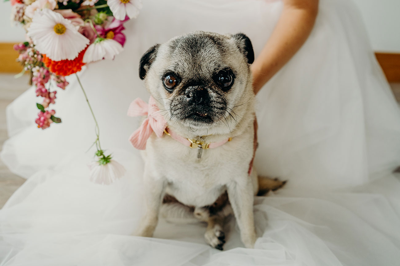 Deer Farm Tipi Wedding Rebecca And Tom 170