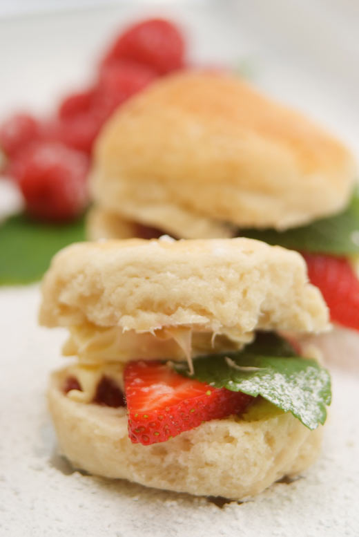 WedIVfood 051207 0052