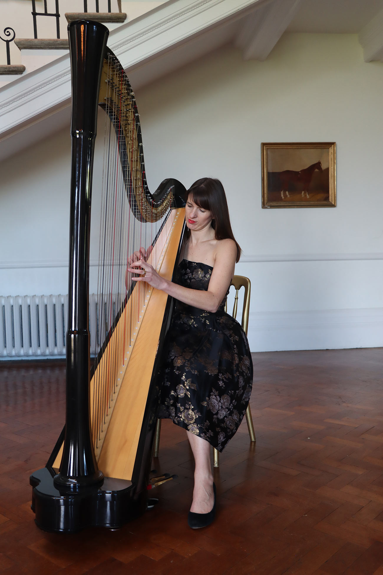 Alice Wonder Harpist