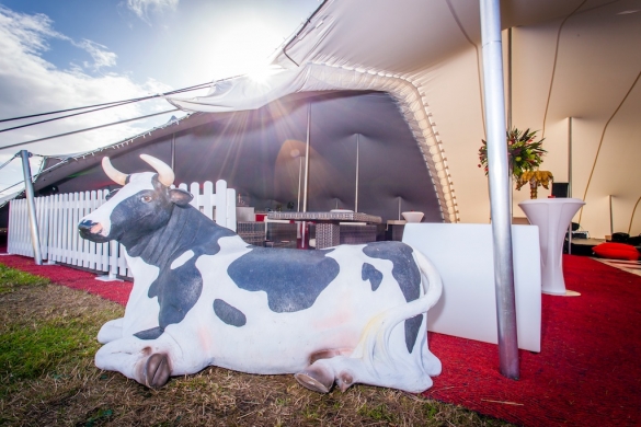 Marquee Weddings Cornwall30