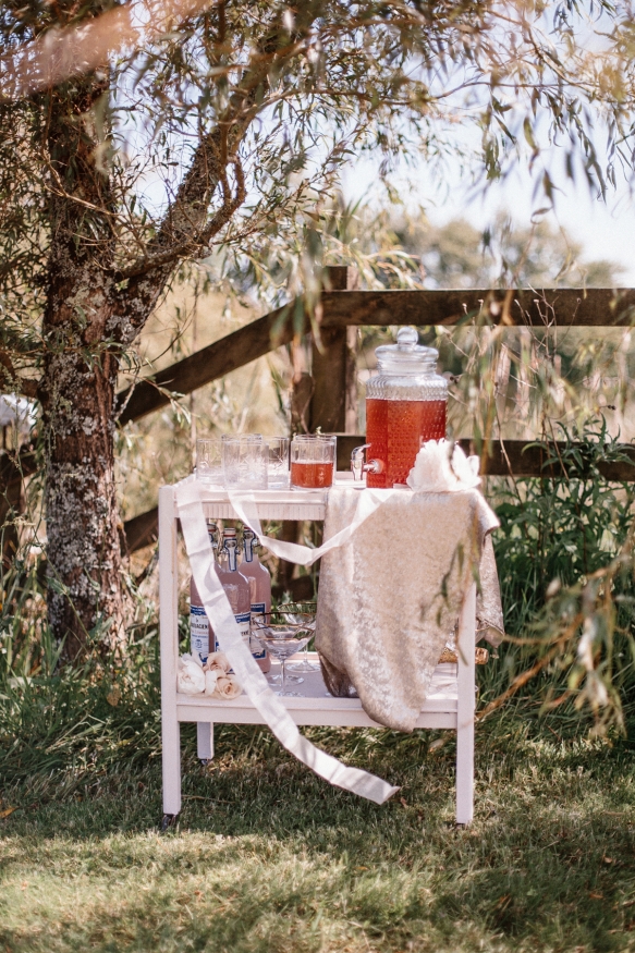 Weddingdrinkscornwall1